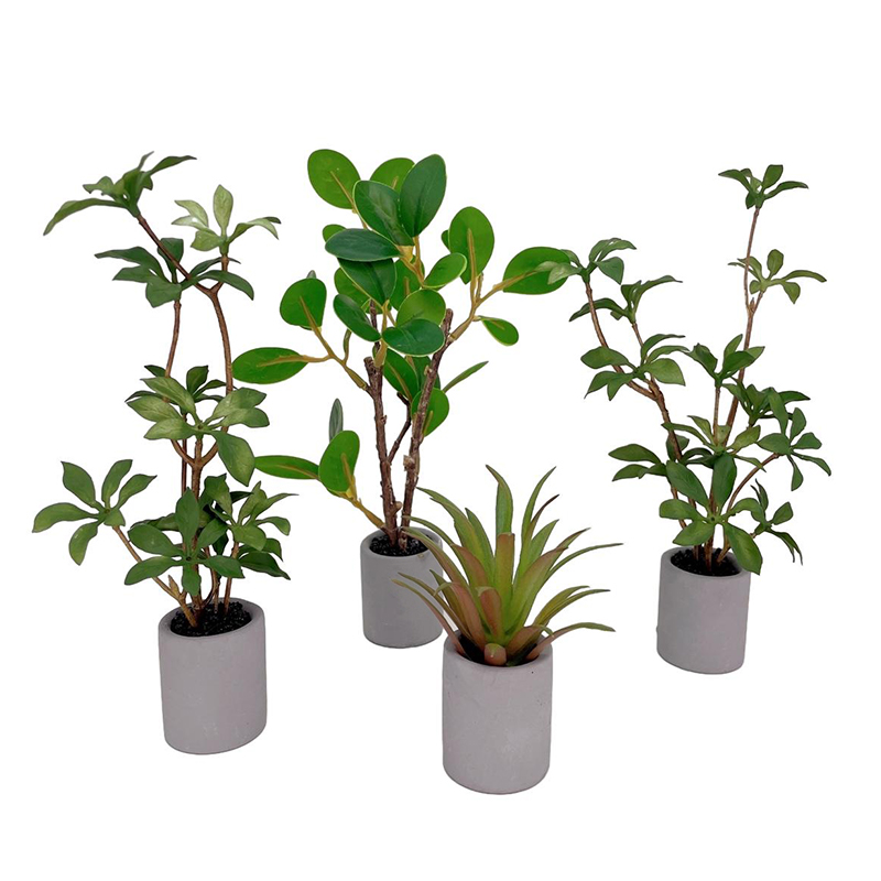 Bonsai Garden For Home - 1:6 кукольный домик, миниатюрное растение в