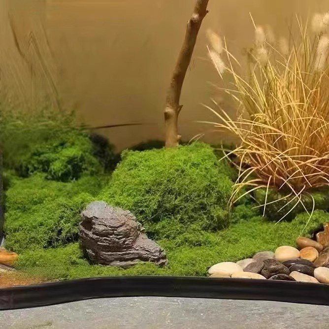 200 г. Искусственный мох «Вечн – обзор и цена Bonsai Garden For Home