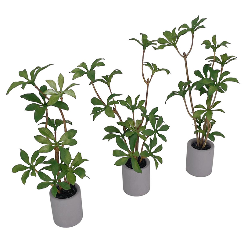 1:6 кукольный домик, миниатюрн – обзор и цена Bonsai Garden For Home