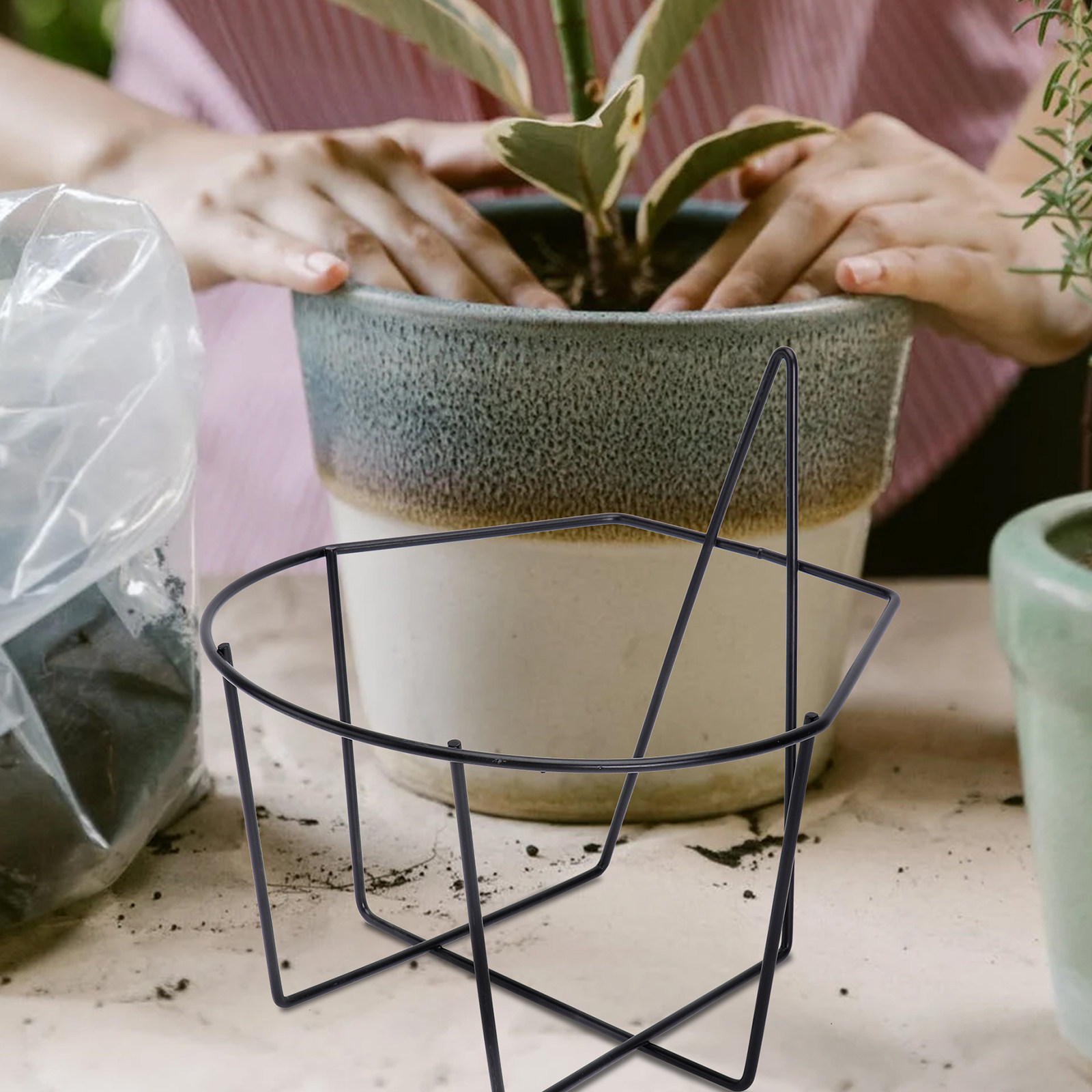 1 шт. Черная настенная подстав – обзор и цена Bonsai Garden Decor